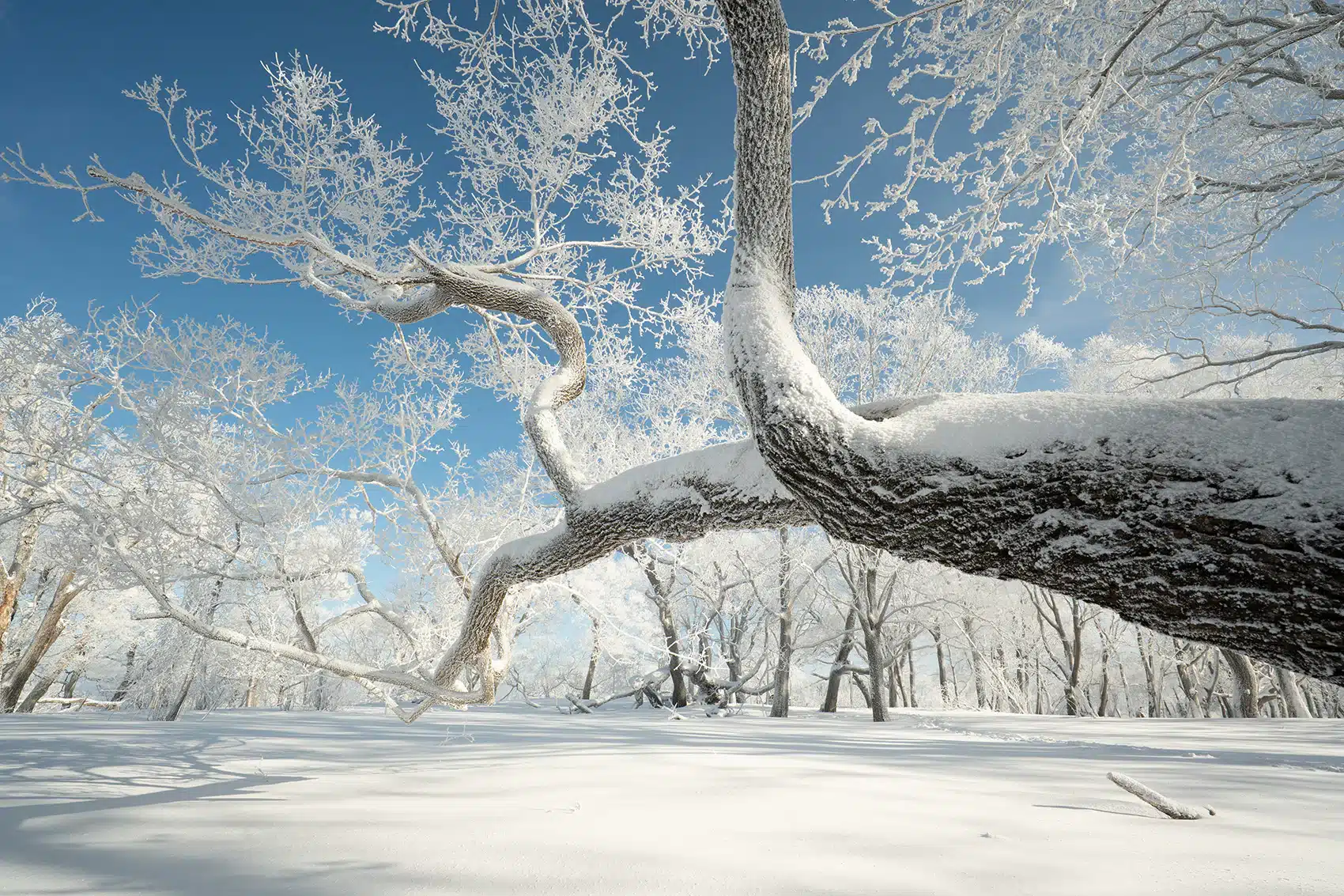 Viltrox AF 16mm F1.8 L cung cấp góc nhìn siêu rộng lên đến 105,6°, cho phép ghi lại trọn vẹn những khung cảnh rộng lớn