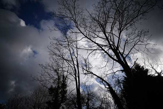 Viền tím/xanh được kiểm soát tốt, chỉ xuất hiện nhẹ ở vùng tương phản cực cao