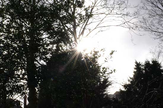 Khả năng kiểm soát lóa khá tốt nhờ lớp phủ quang học