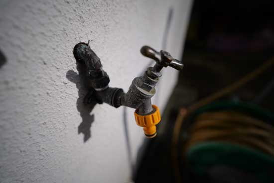 Dù là ống kính góc rộng, khẩu độ f/1.8 và 9 lá khẩu tròn vẫn tạo được bokeh mềm khi chụp gần