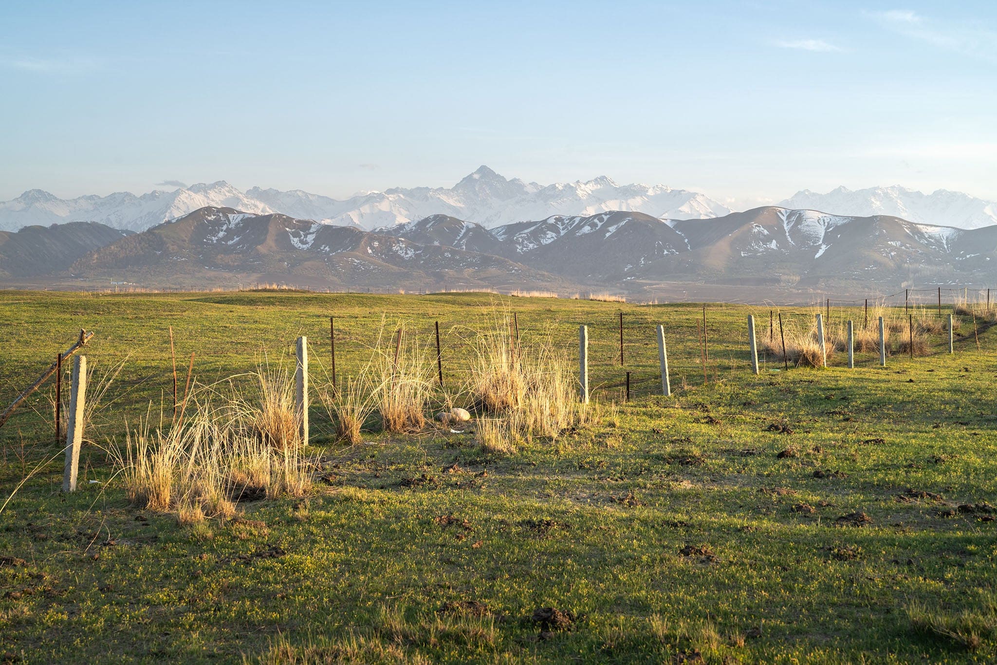Thiết kế quang học tiên tiến giúp tái tạo chi tiết rõ ràng, giữ nguyên kết cấu hình ảnh ngay cả khi crop hoặc phóng to