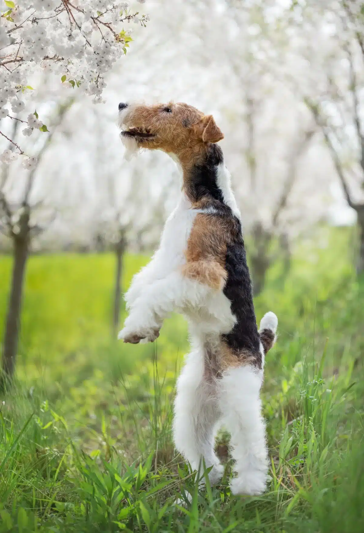 Độ nén phối cảnh vừa phải kết hợp với bokeh mượt giúp tách chủ thể hiệu quả nhưng vẫn giữ được ngữ cảnh