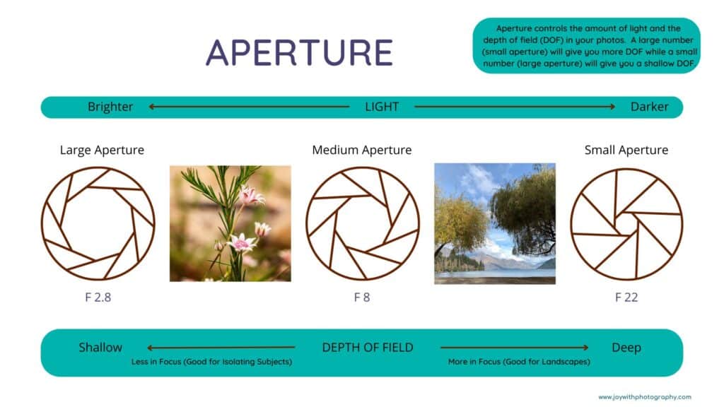 3 yếu tố chính ảnh hưởng đến độ sâu trường ảnh: Khẩu độ, Tiêu cự và Khoảng cách chụp – Khẩu độ là yếu tố dễ thay đổi nhất