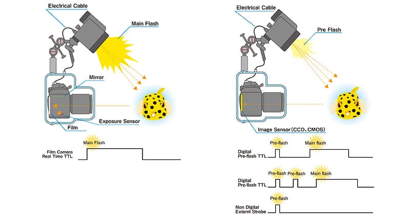TTL (Through The Lens) – Máy ảnh phát pre-flash đo sáng qua ống kính rồi tự động điều chỉnh công suất flash