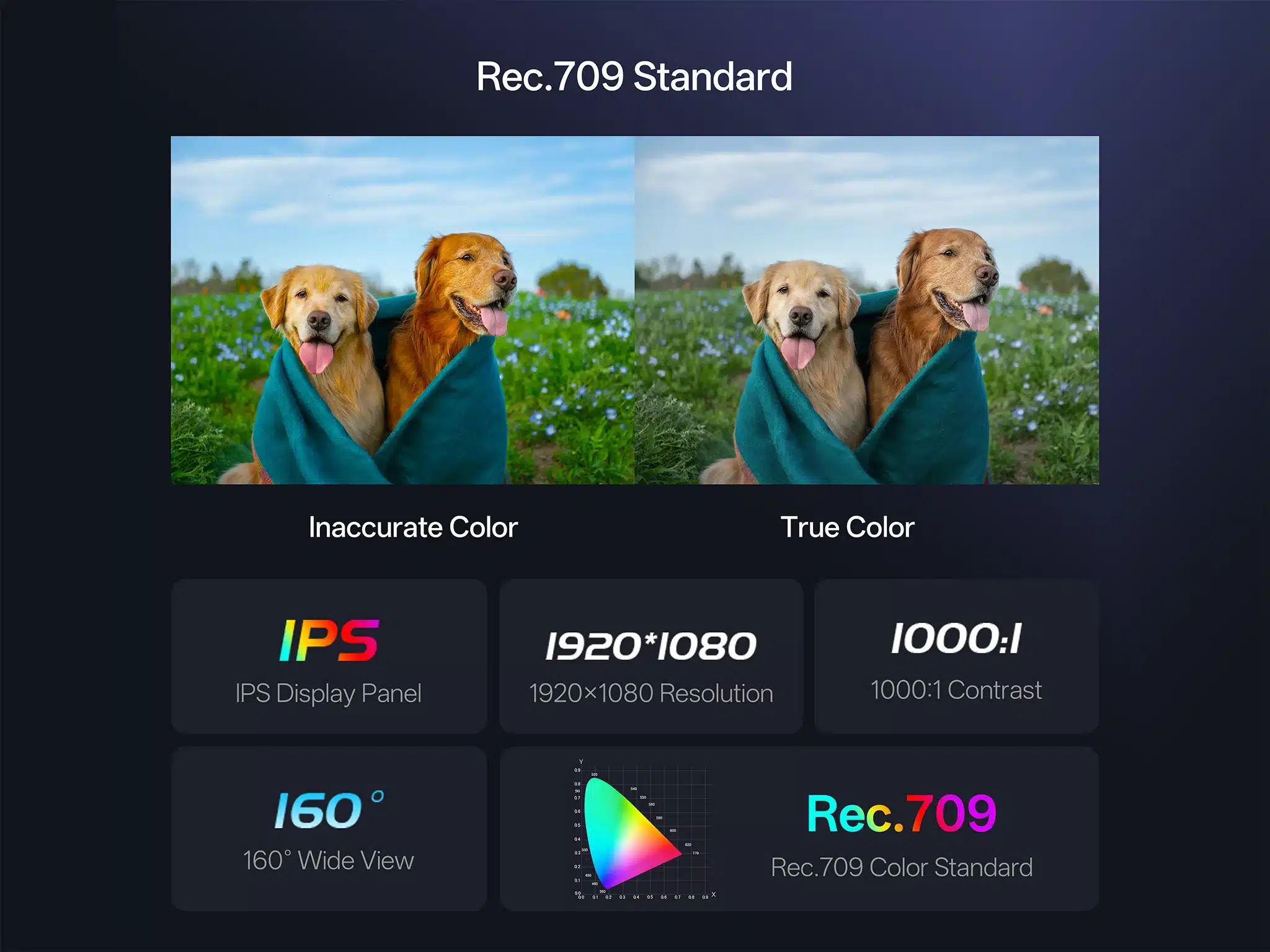 Viltrox DC-550 PRO II được xây dựng trên chuẩn màu Rec.709 kết hợp hệ thống quản lý màu 3D LUT tiên tiến nhằm đảm bảo khả năng tái tạo màu sắc chính xác